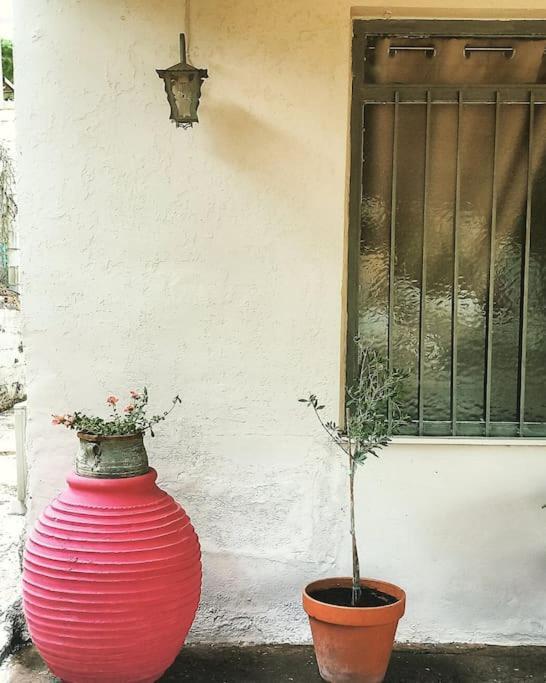 Mycenae Rustic House, ολόκληρο σπίτι στις μυκήνες Holiday home *